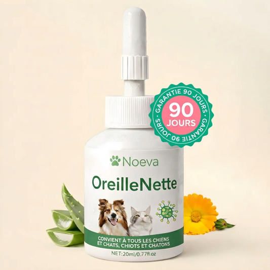 Noeva OreilleSaine