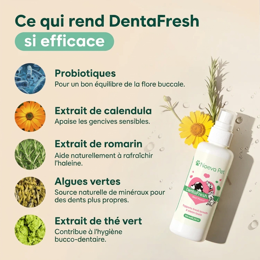 Spray Dentaire Noeva Pet